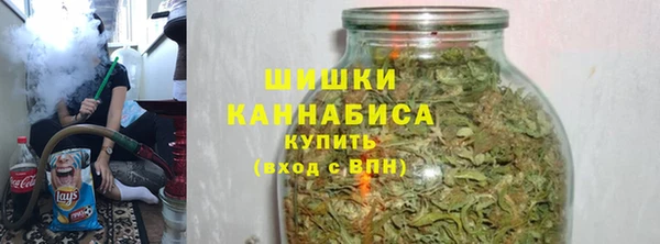 apvp Дмитриев