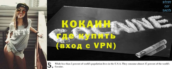 ешки Гусев