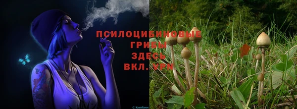 apvp Дмитриев