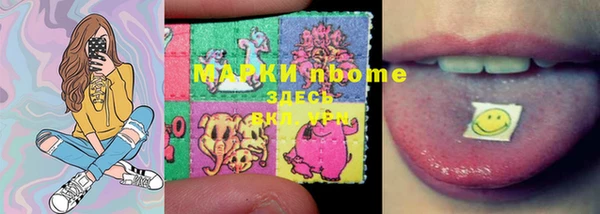 ешки Гусев