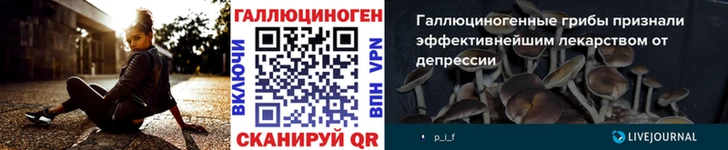 наркотики Обоянь Псилоцибиновые грибы Psilocybe